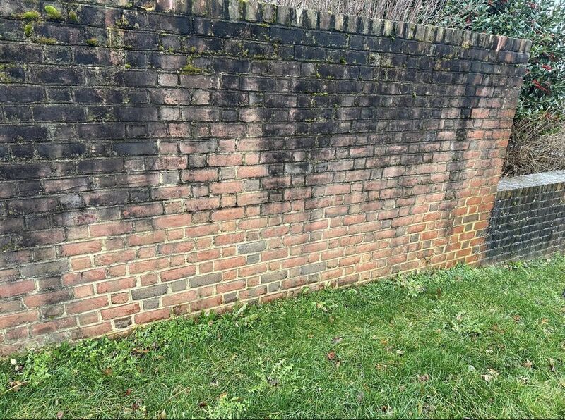 Brick garden wall darkened by algae and moss growth before cleaning