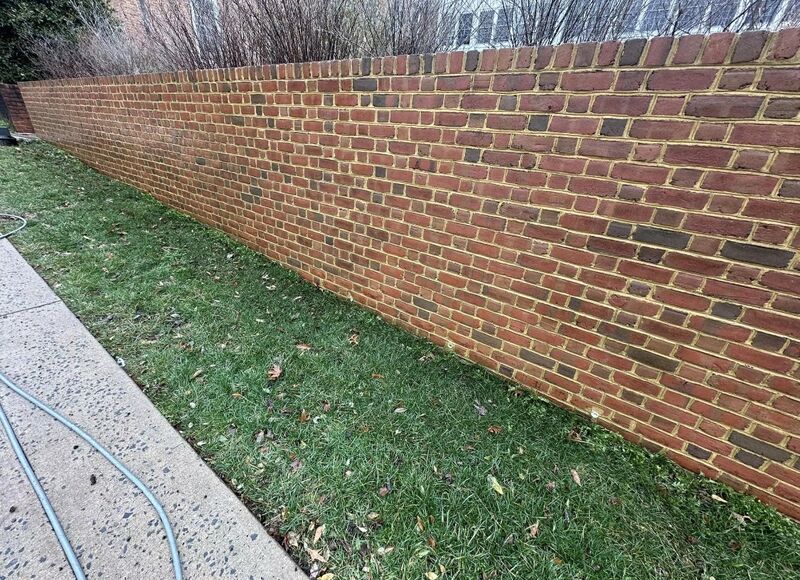 The same brick garden wall after low-pressure cleaning, with the red brick and mortar joints visible again