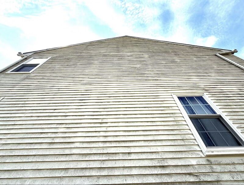 Tall house gable wall with cream siding heavily streaked by gray-green algae, viewed from ground level
